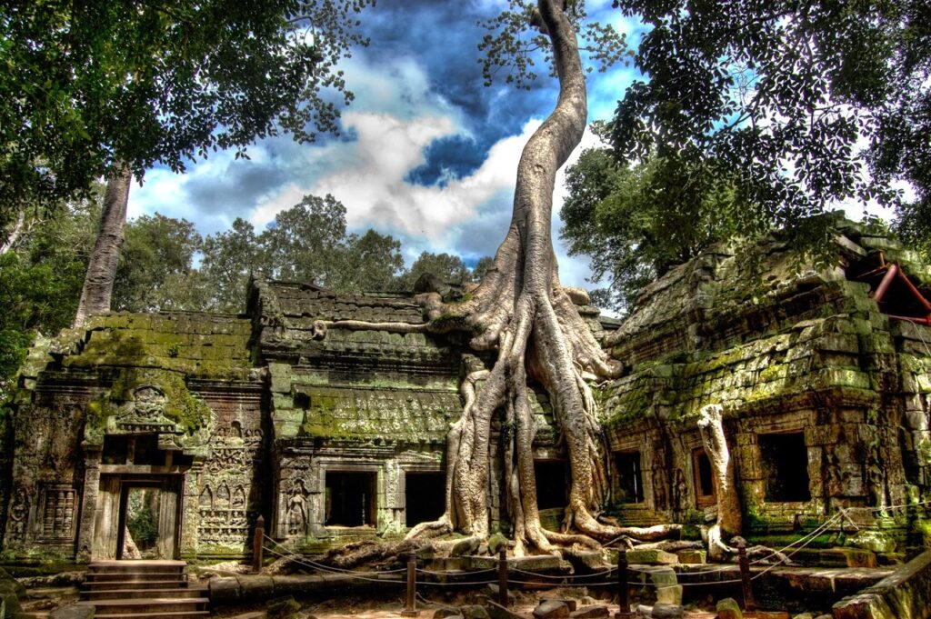 Ta Prohm mang đến hình ảnh rất khác so với Angkor Wat